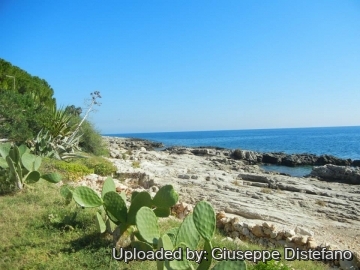 19417 giuseppe2 Giuseppe Distefano