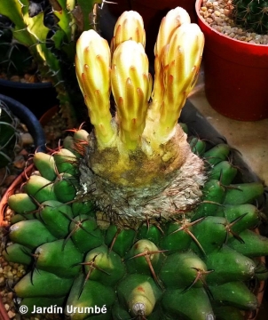 28102 alexander Alexander Arzberger