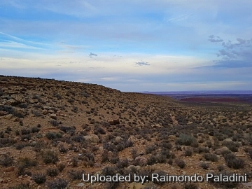 30009 RapCactus Raimondo Paladini