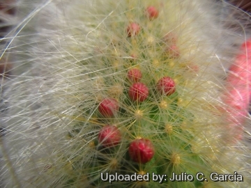 20177 julio Julio C. García 