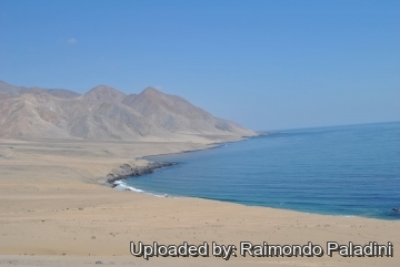 27123 RapCactus Raimondo Paladini