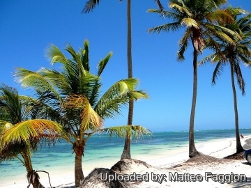 27164 matteo Matteo Faggion