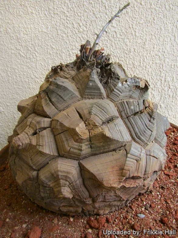 26843